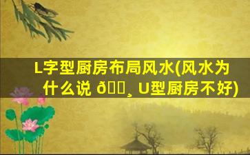 L字型厨房布局风水(风水为什么说 🕸 U型厨房不好)